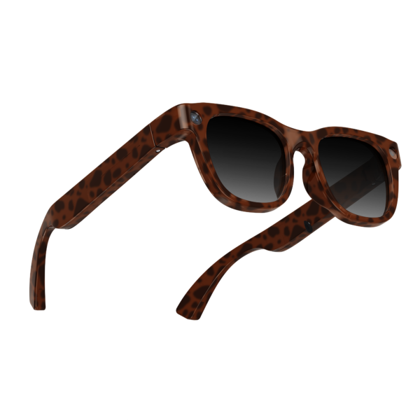 Smart Glasses  E06D